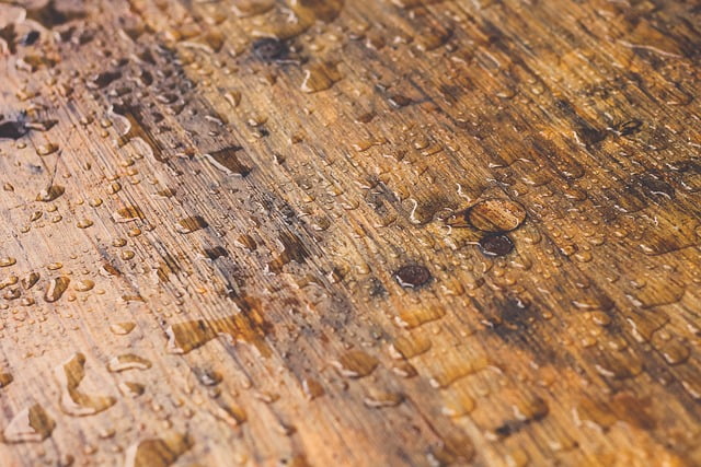 Wet Wood painting